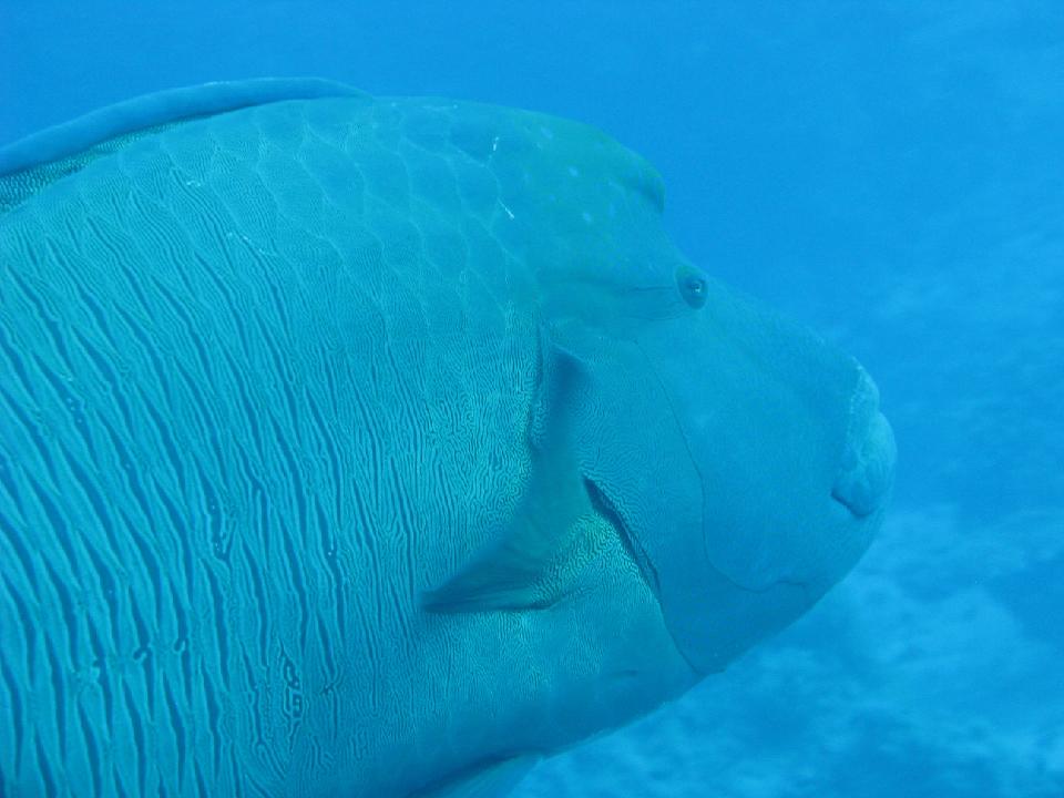 2012_02_16 rotes meer 100.jpg